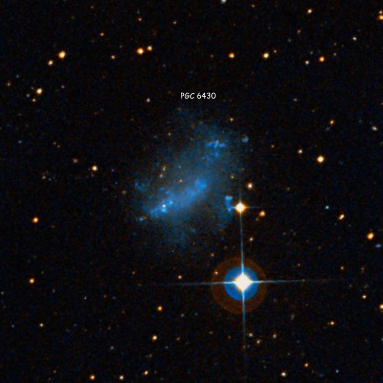 DSS image of region near irregular galaxy PGC 6430