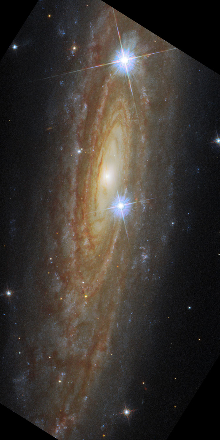 HST image of spiral galaxy PGC 64458, listed as UGC 11537 in the HST press release