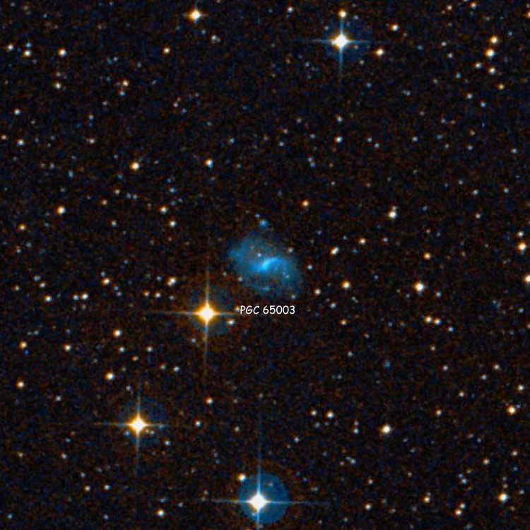 DSS image of spiral galaxy PGC 65003
