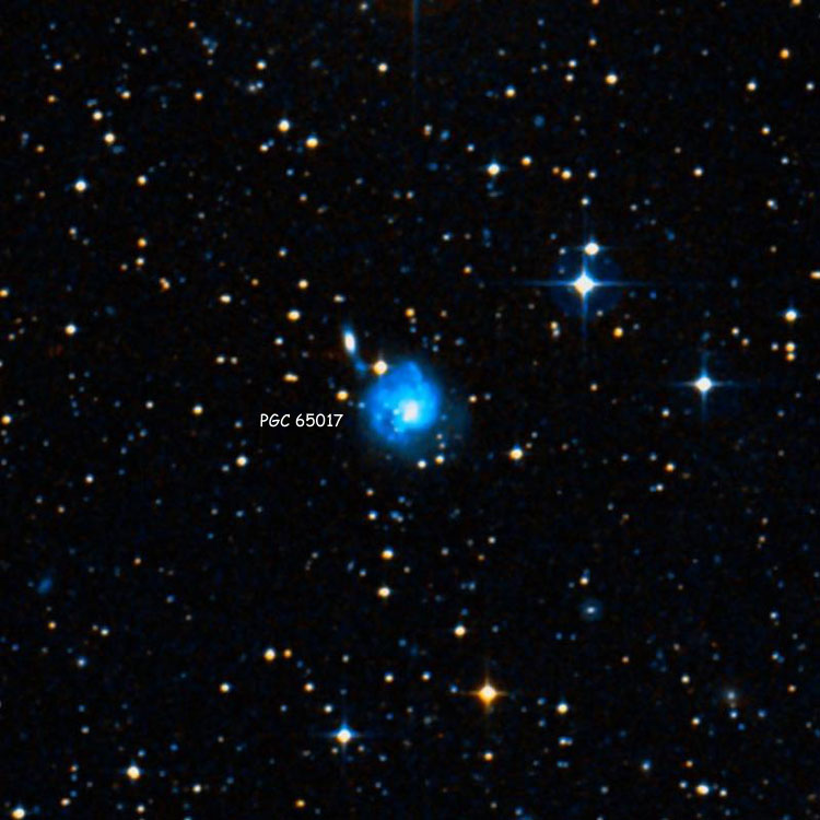 DSS image of spiral galaxy PGC 65017
