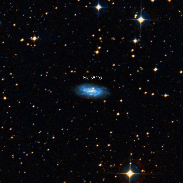 DSS image of spiral galaxy PGC 65299