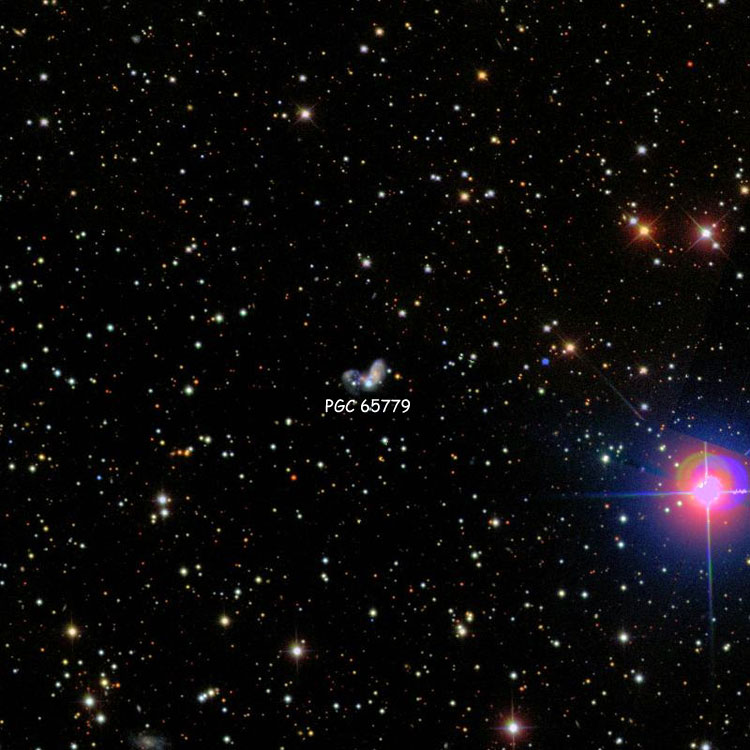Wikisky SDSS image of region near PGC 65779