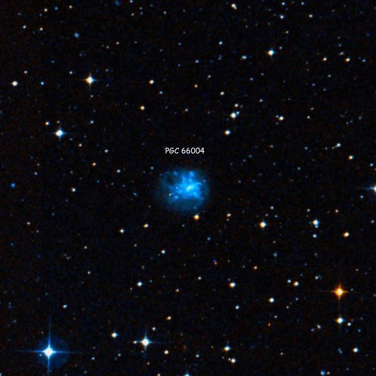DSS image of spiral galaxy PGC 66004