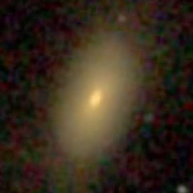 SDSS image of lenticular galaxy PGC 67935