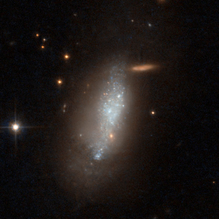HST image of irregular galaxy PGC 860667
