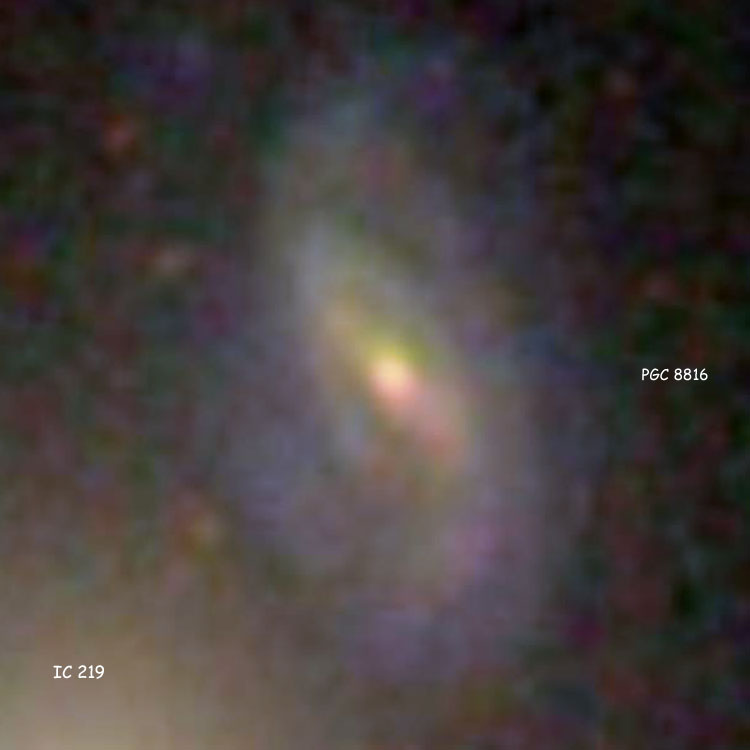 SDSS image of spiral galaxy PGC 8816 and part of the much closer IC 219