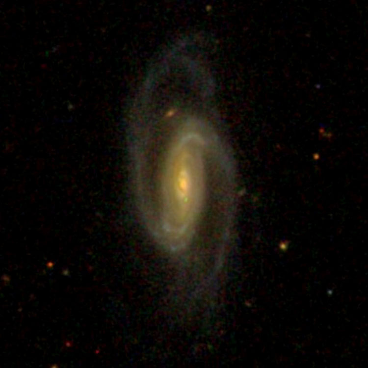 SDSS image of spiral galaxy PGC 9973, sometimes misidentified as NGC 1037