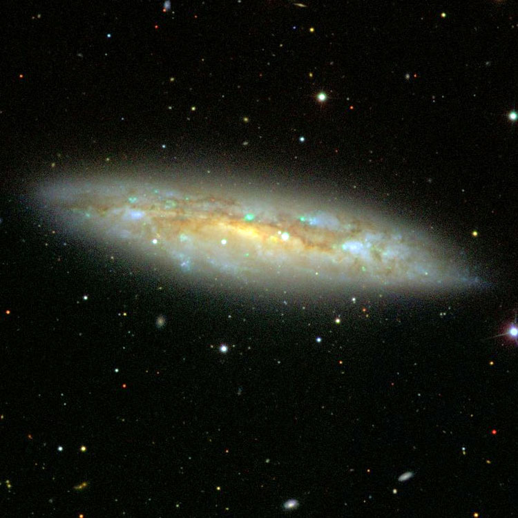 SDSS image of spiral galaxy NGC 3556, also known as M108