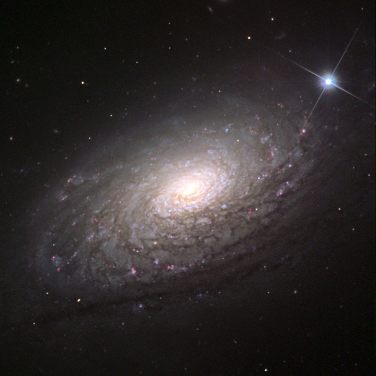 NOAO image of the Sunflower Galaxy, spiral galaxy NGC 5055, also known as M63