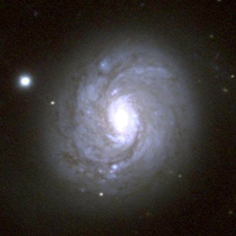 Normally exposed NOAO image of spiral galaxy NGC 1068, also known as M77