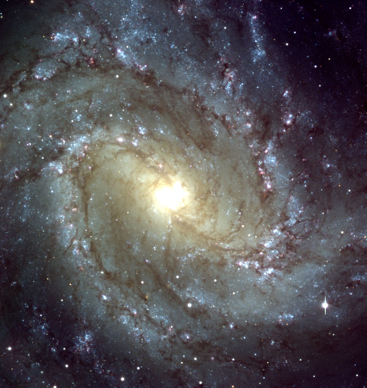 ESO image of spiral galaxy NGC 5236, also known as M83