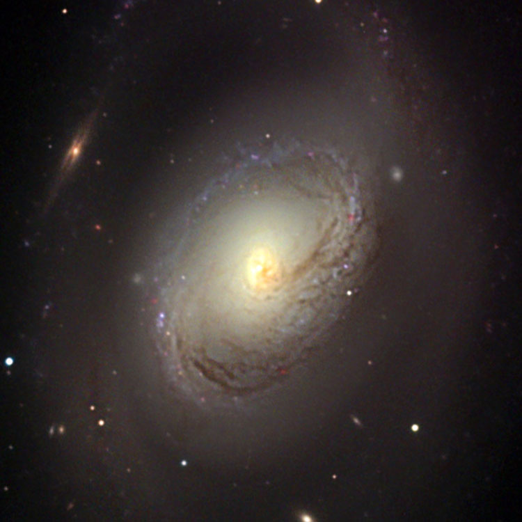 NOAO image of the dusty core of spiral galaxy NGC 3368, also known as M96