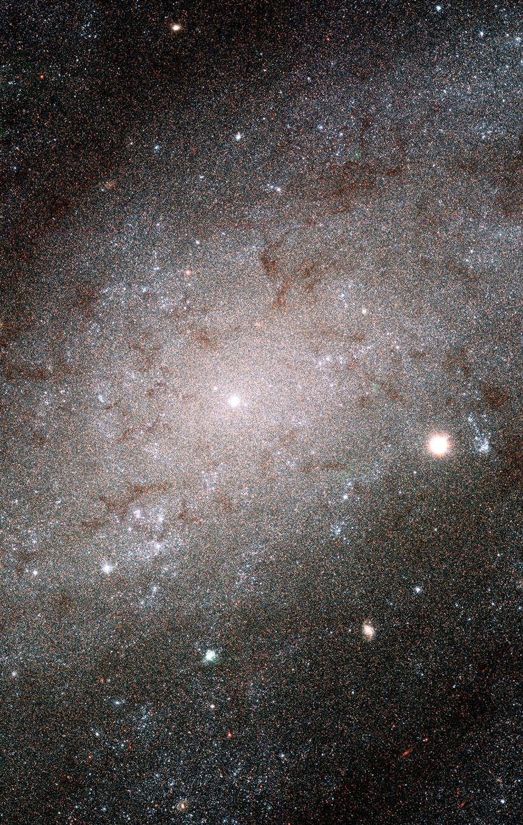 HST detail of the core of spiral galaxy NGC 300