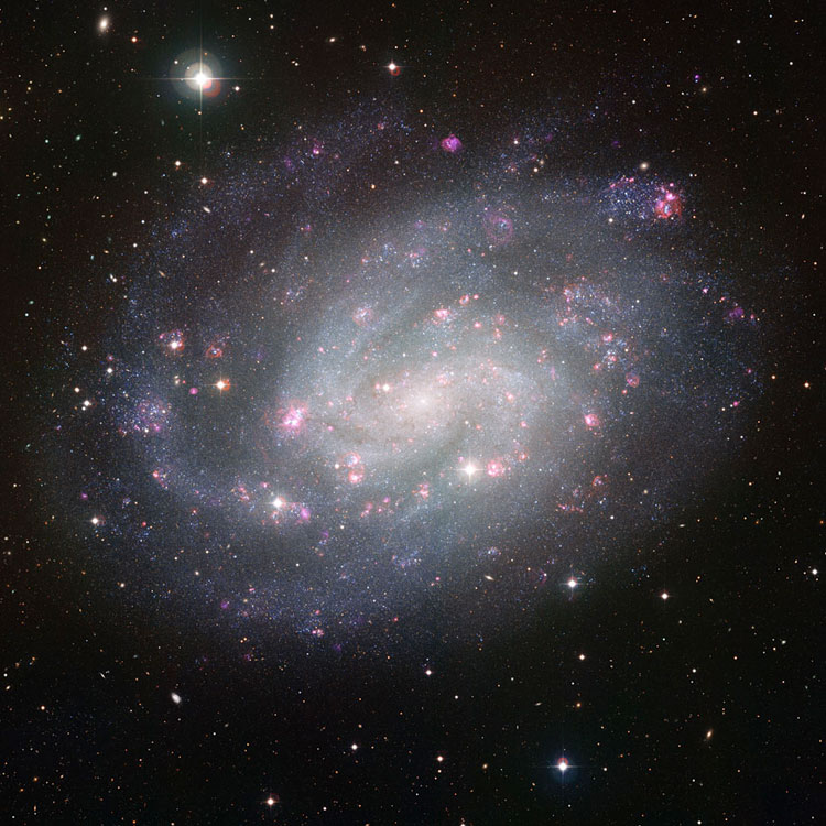 ESO infrared image of spiral galaxy NGC 300