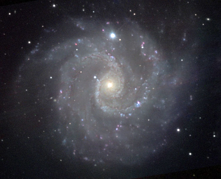 NOAO image of spiral galaxy NGC 3184