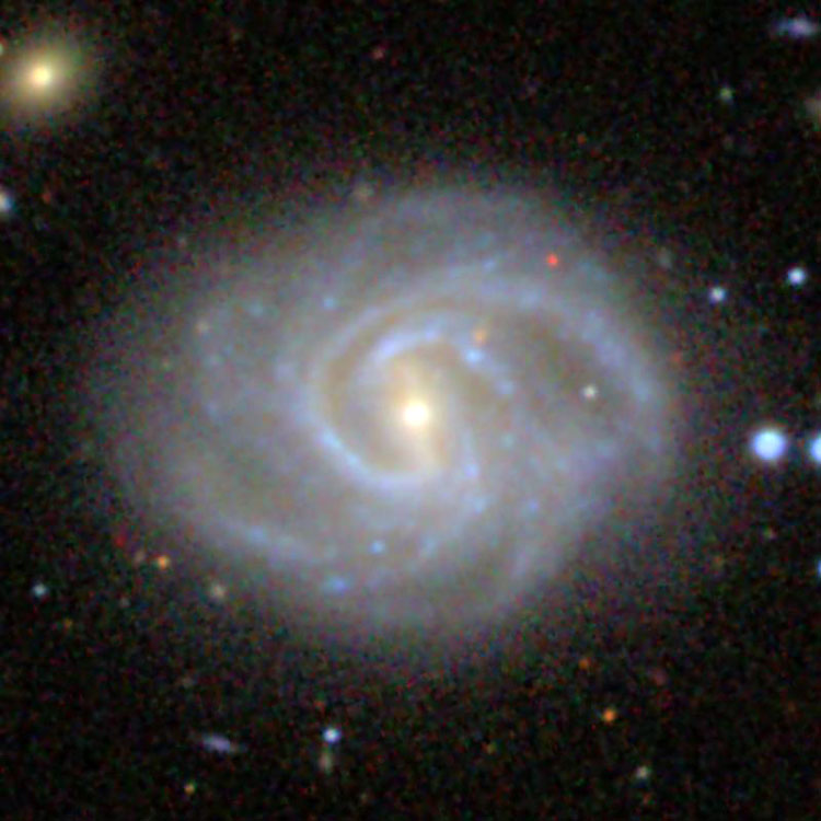 SDSS image of spiral galaxy NGC 6004