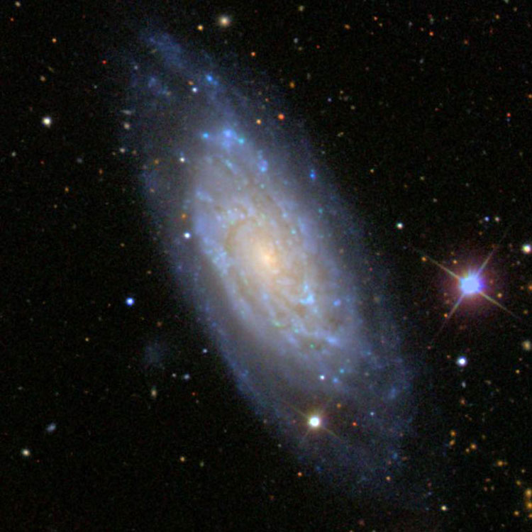 SDSS image of spiral galaxy NGC 6015