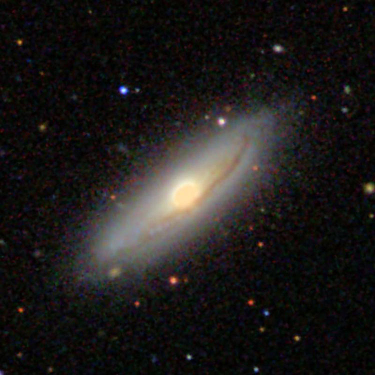 SDSS image of lenticular galaxy NGC 6081