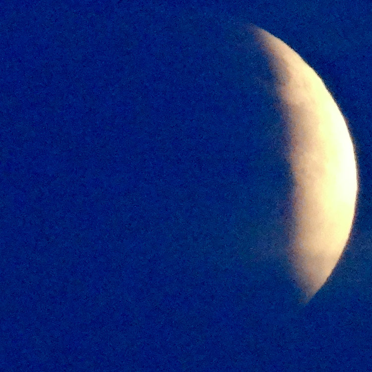 Image of the nearly fully eclipsed moon taken at 7:00pm PDT on Sep 27-28, 2015, only 11 minutes before the start of totality