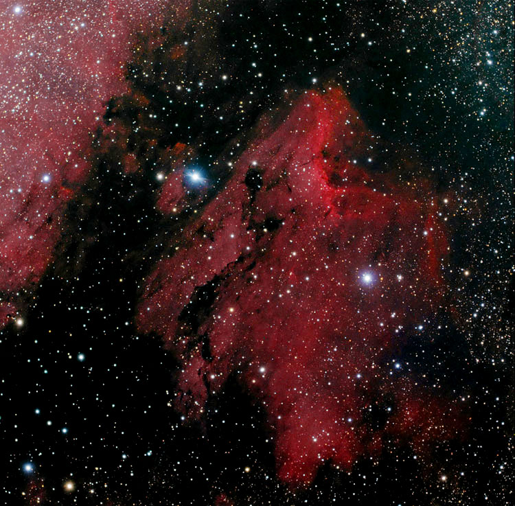 Hunter Wilson image of IC 5070, also known as the Pelican Nebula