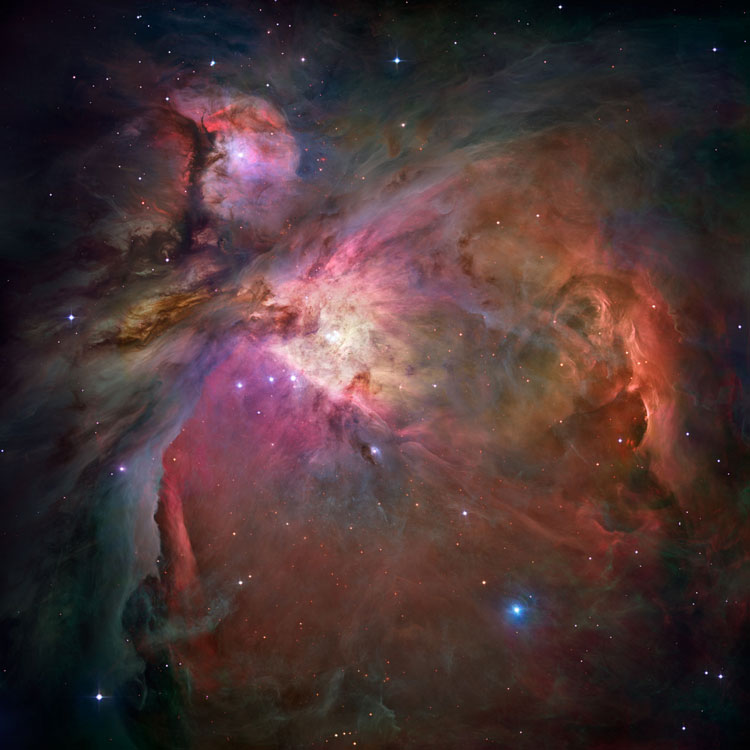 HST image of NGC 1976, also known as M42, the Orion Nebula