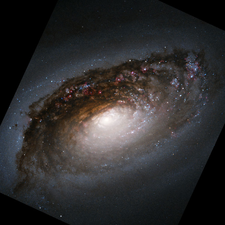 HST image of the nucleus of spiral galaxy NGC 4826, the Black Eye Galaxy, also known as M64